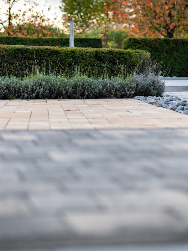 Fundador de Mirapaisaje trabajando en un jardín con estructuras metálicas