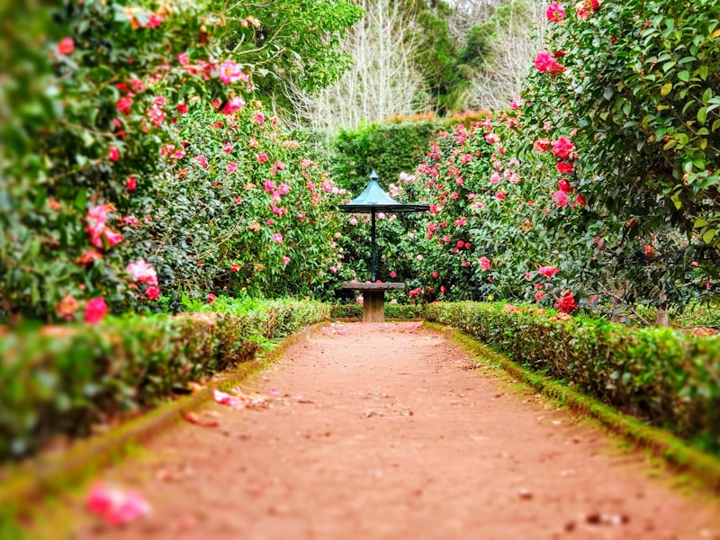 Diseño y Construcción de Jardines
